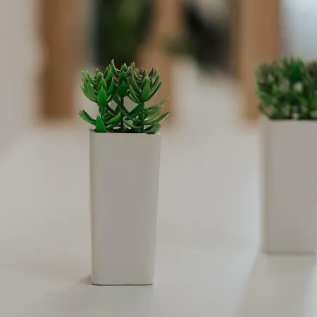 Unique Experience Apartment's Lejlighed