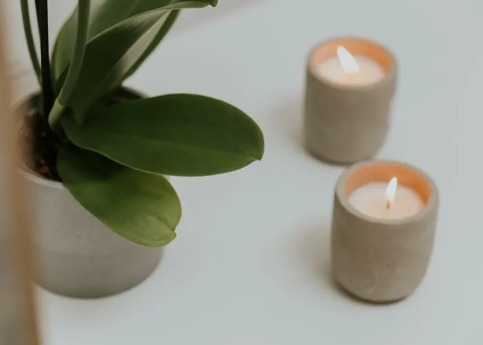 Apartment Unique Experience Apartment's