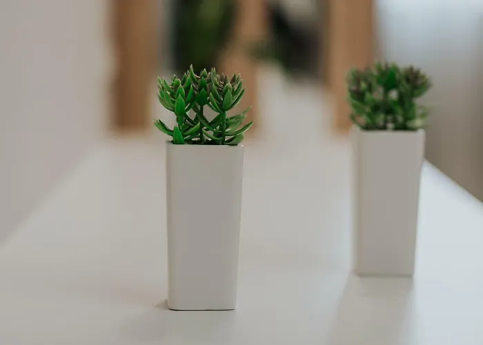 Unique Experience Apartment's Apartment